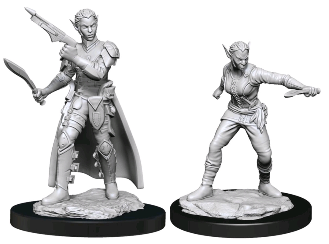 Dungeons & Dragons - Nolzur's Marvelous Unpainted Minis: Shifter Rogue Female/Product Detail/RPG Games