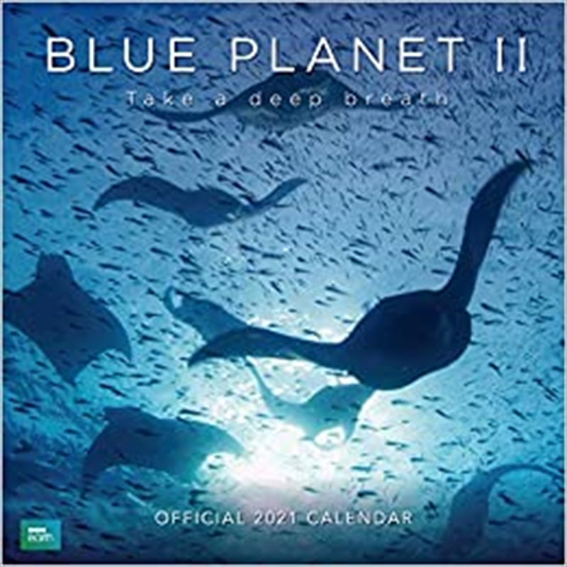 BBC Blue Planet 2021 Square Calendar/Product Detail/Calendars & Diaries