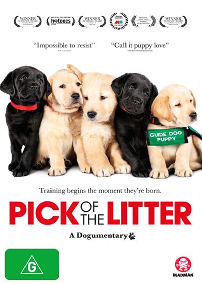 Pick Of The Litter/Product Detail/Documentary