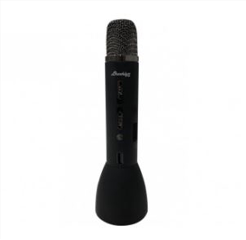 Karaoke Speaker Microphone/Product Detail/Karaoke