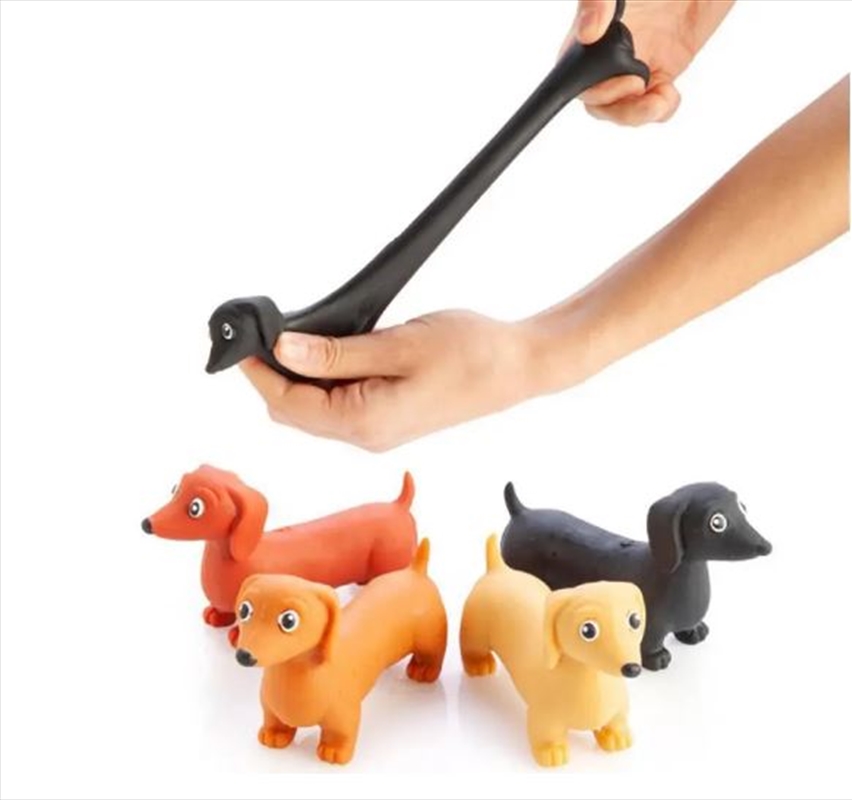 Novelty Stretch Dachshund Sausage Dog Toy (SENT AT RANDOM)/Product Detail/Stress & Squishy