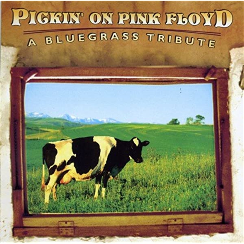 Pickin On Pink Floyd: Bluegrass Tribute/Product Detail/Rock