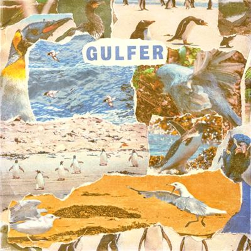 Gulfer/Product Detail/Pop