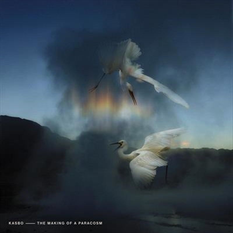 Making Of A Paracosm/Product Detail/Alternative