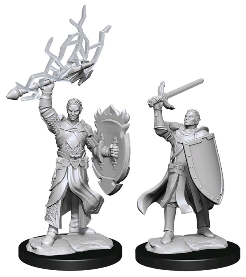 Dungeons & Dragons - Nolzur's Marvelous Unpainted Miniatures: Half-Elf Paladin Male/Product Detail/RPG Games