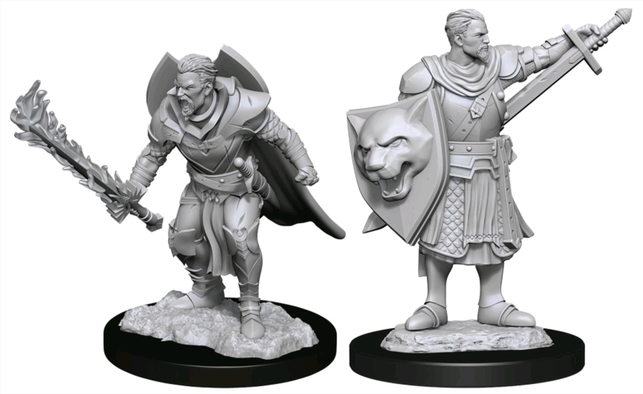 Pathfinder - Deep Cuts Unpainted Miniatures: Human Champion Male/Product Detail/RPG Games