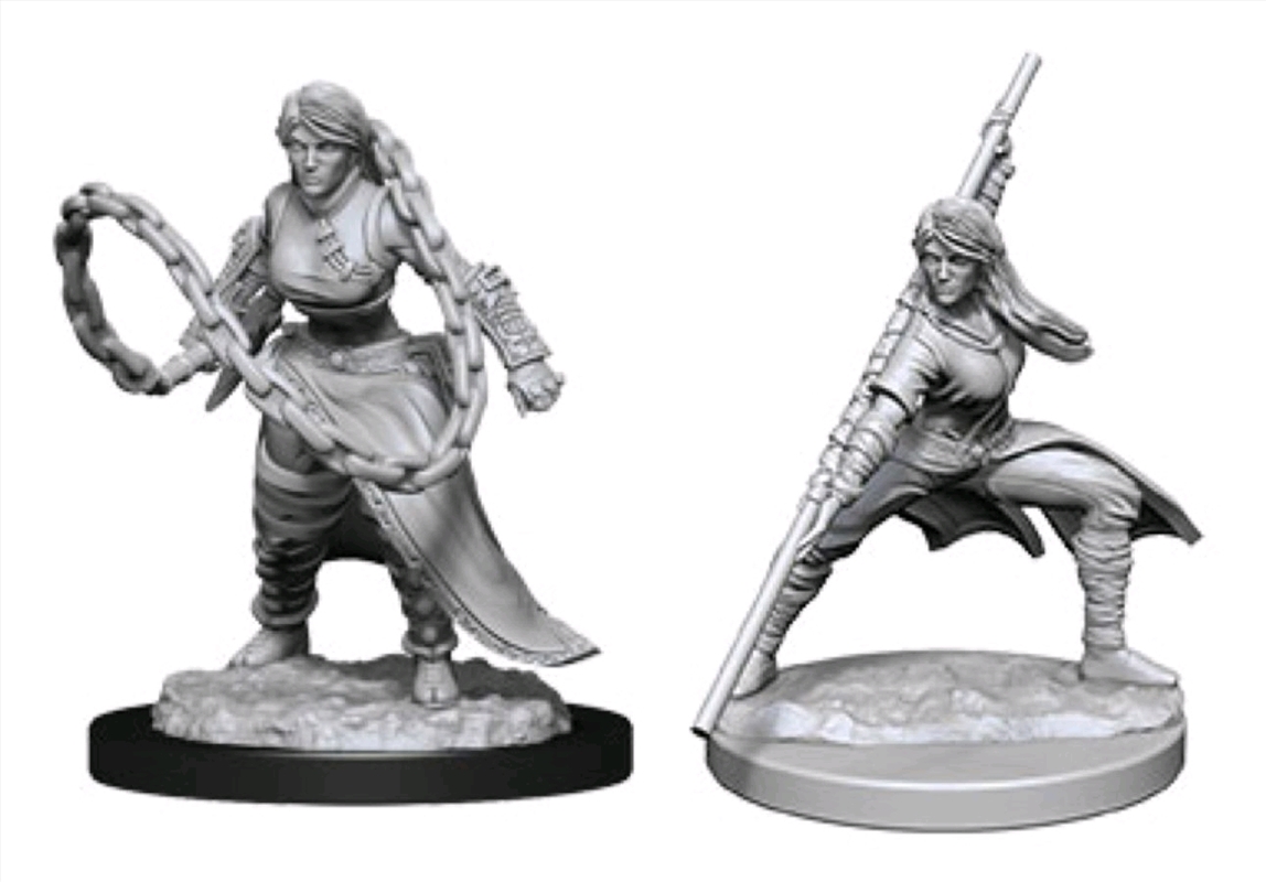 Dungeons & Dragons - Nolzur's Marvelous Unpainted Miniatures: Human Monk Male/Product Detail/RPG Games