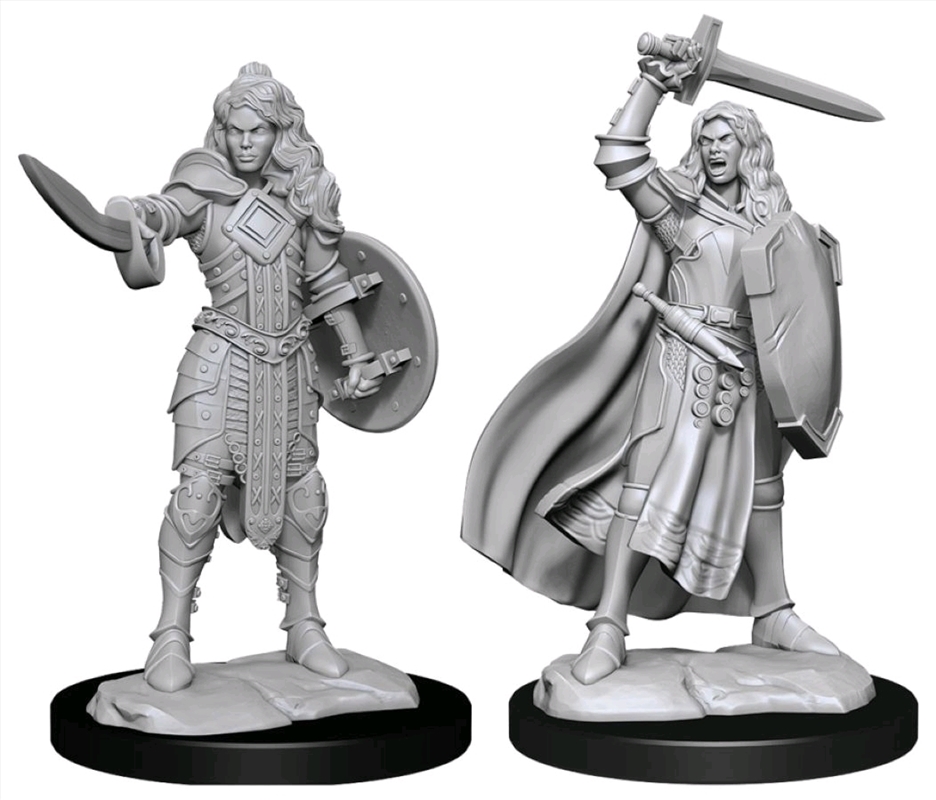 Pathfinder - Deep Cuts Unpainted Miniatures: Human Champion Female/Product Detail/RPG Games