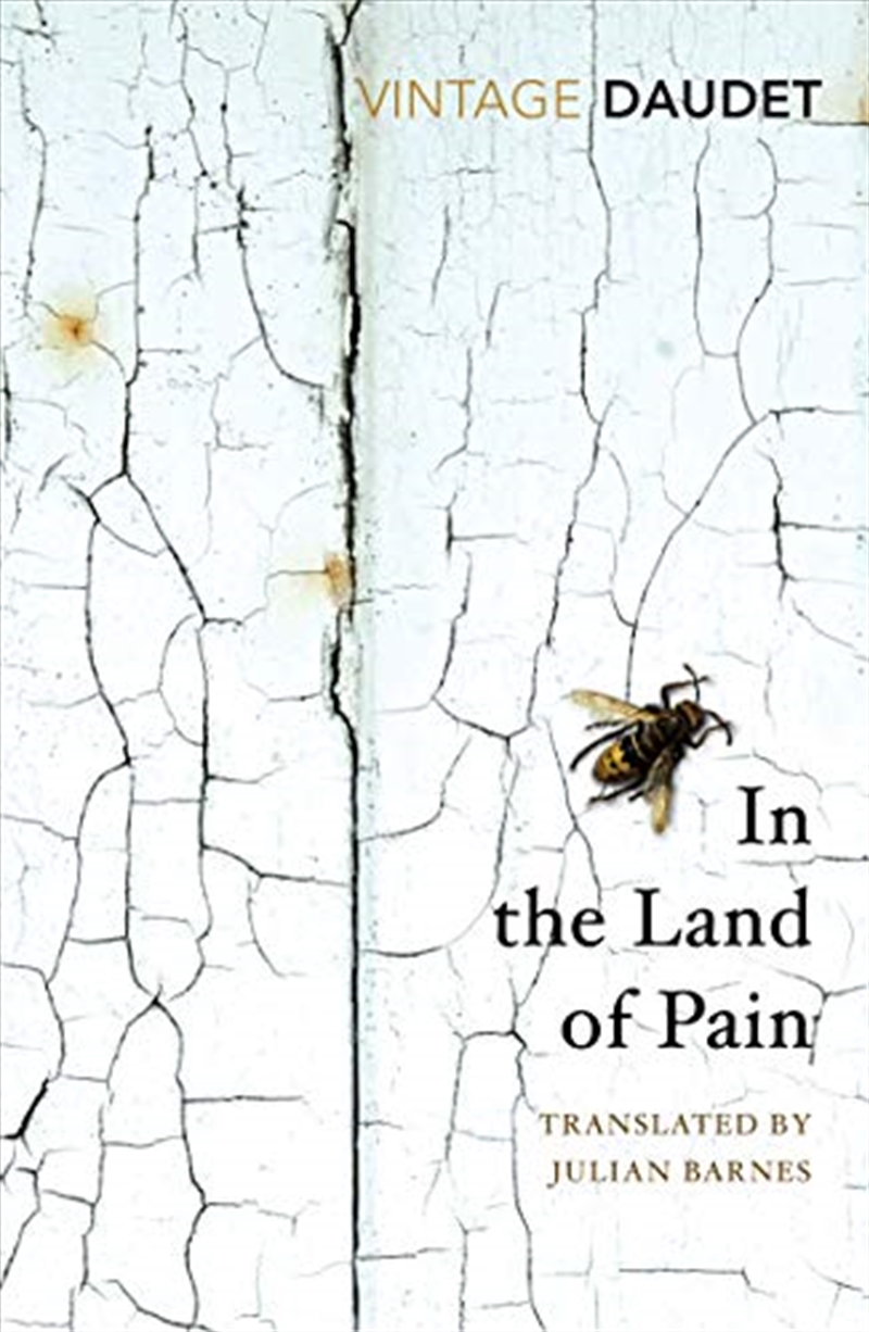 In The Land Of Pain/Product Detail/Biographies & True Stories