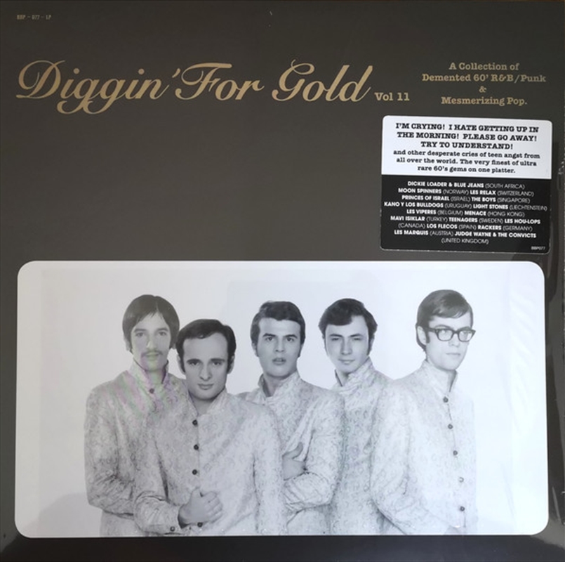 Diggin For Gold Vol 11/Product Detail/Pop
