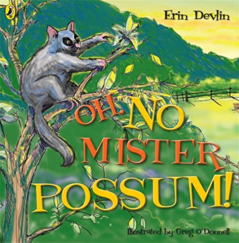 Oh, No Mister Possum!/Product Detail/Childrens