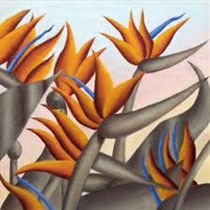 Paradise Club/Product Detail/Alternative