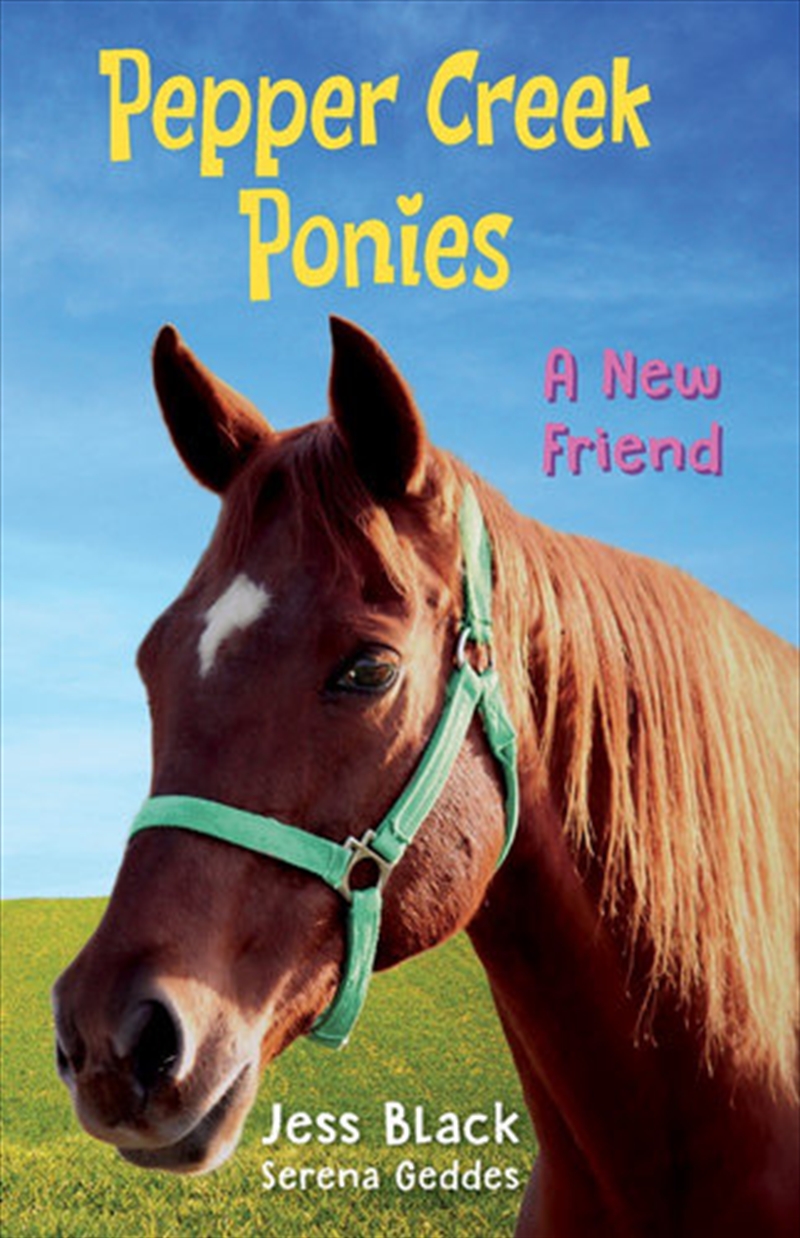 Pepper Creek Ponies #1: A New Friend/Product Detail/Childrens Fiction Books