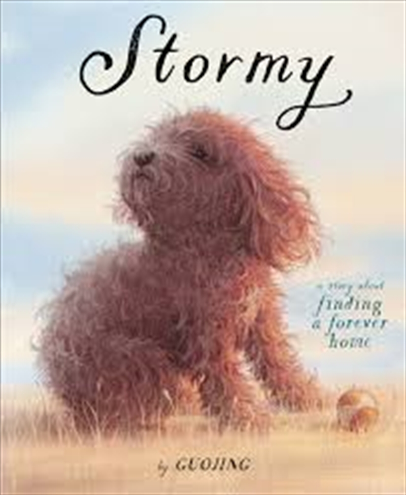 Stormy/Product Detail/Childrens Fiction Books