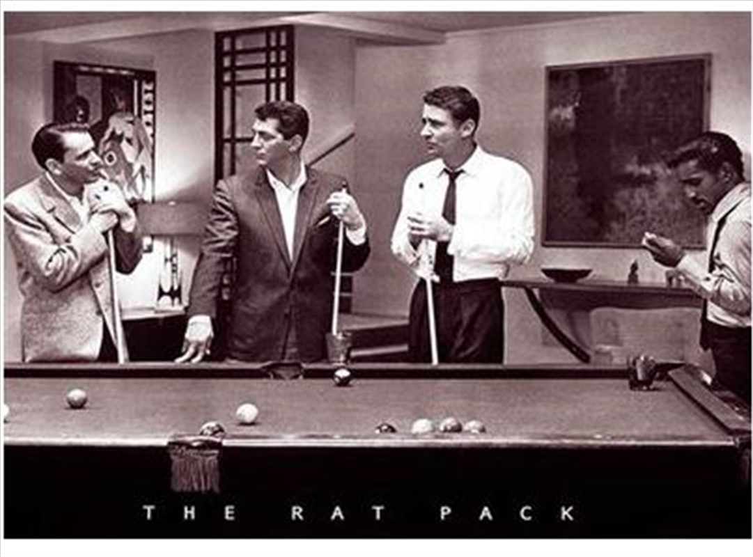 Rat Pack - Pool/Product Detail/Posters & Prints