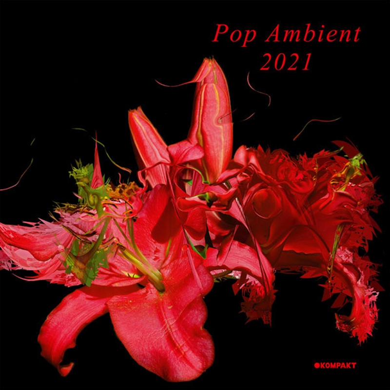 Pop Ambient 2021/Product Detail/Pop