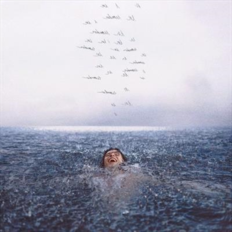 Buy Shawn Mendes Wonder Vinyl Sanity Online