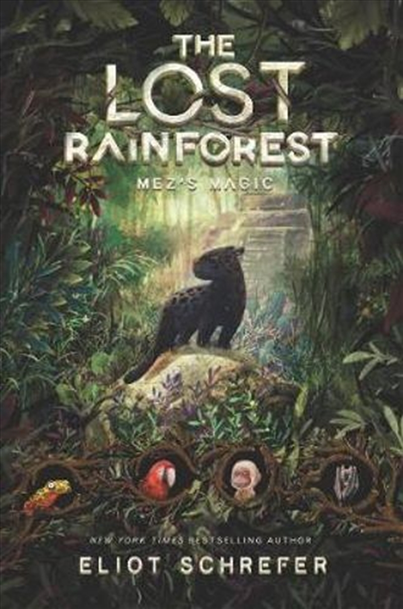 The Lost Rainforest: Mez's Magic ()/Product Detail/Childrens Fiction Books