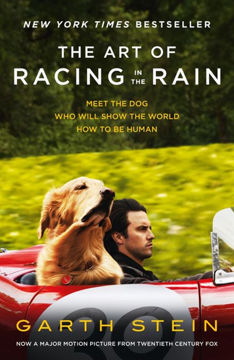 the art of racing in the rain essay questions