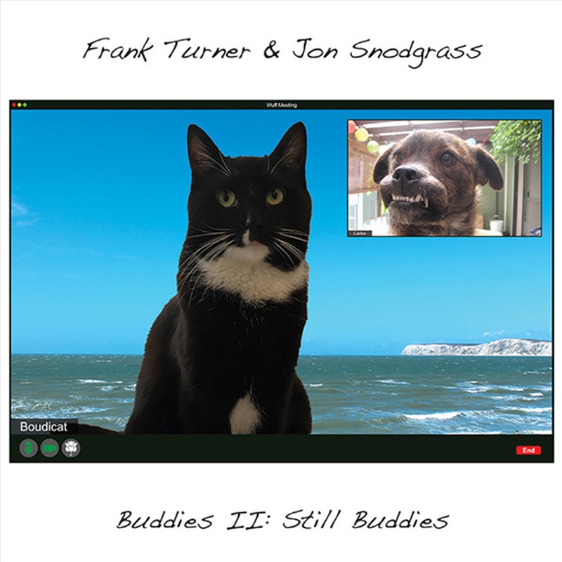 Buddies Ii: Still Buddies/Product Detail/Alternative