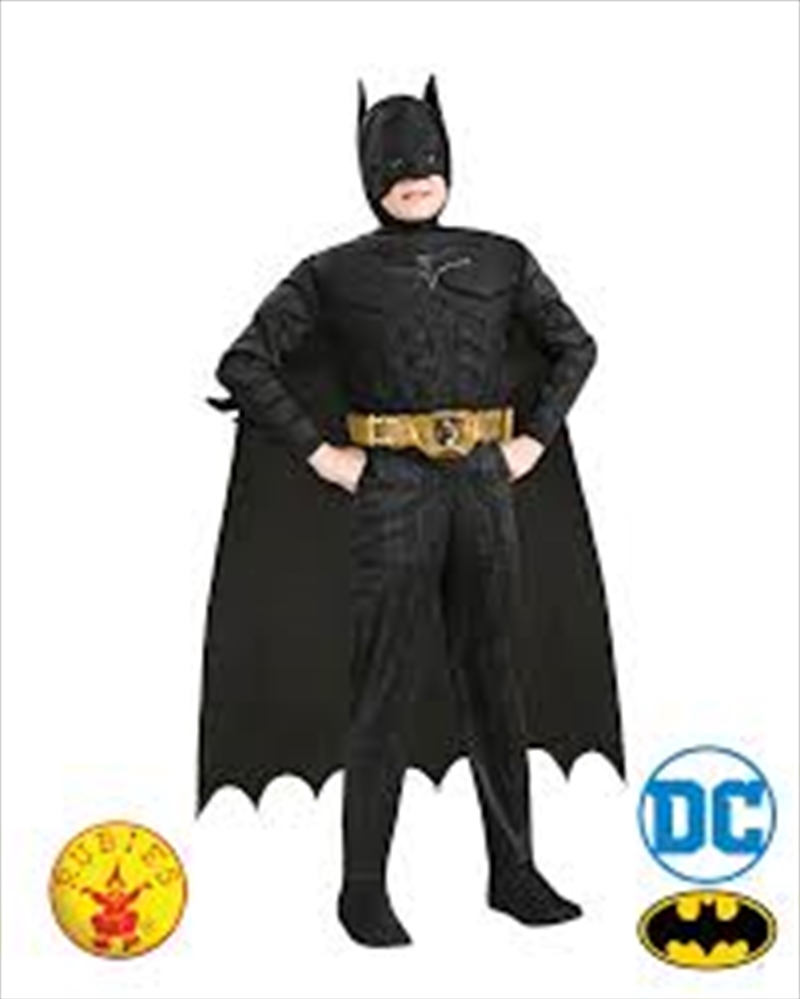 Justice League Batman Dark Knight Premium Costume: Toddler/Product Detail/Costumes
