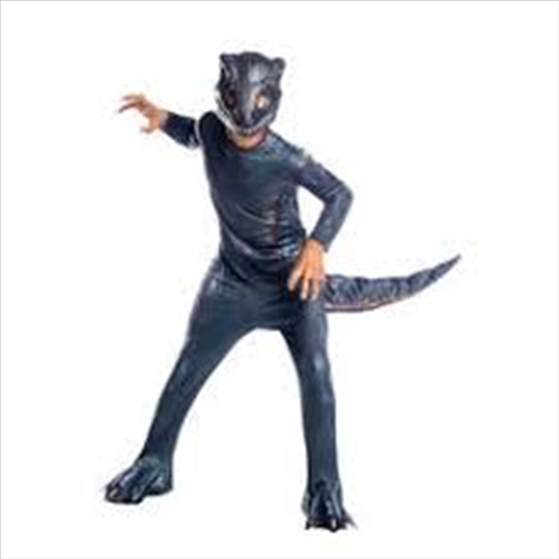 Velociraptor Blue: Size 8-10Yr/Product Detail/Costumes