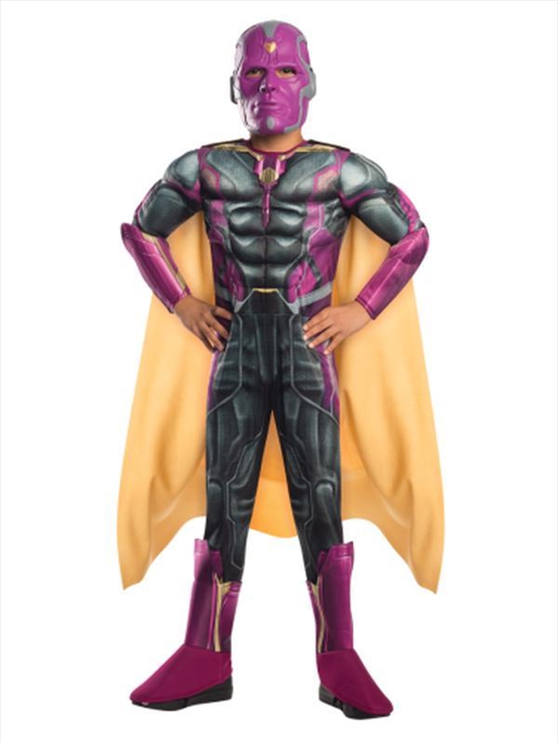Vision Deluxe Costume: Size M/Product Detail/Costumes