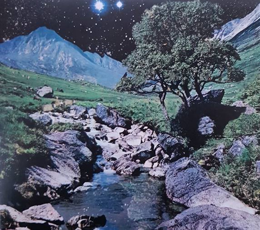 Beta Band, The/Product Detail/Alternative