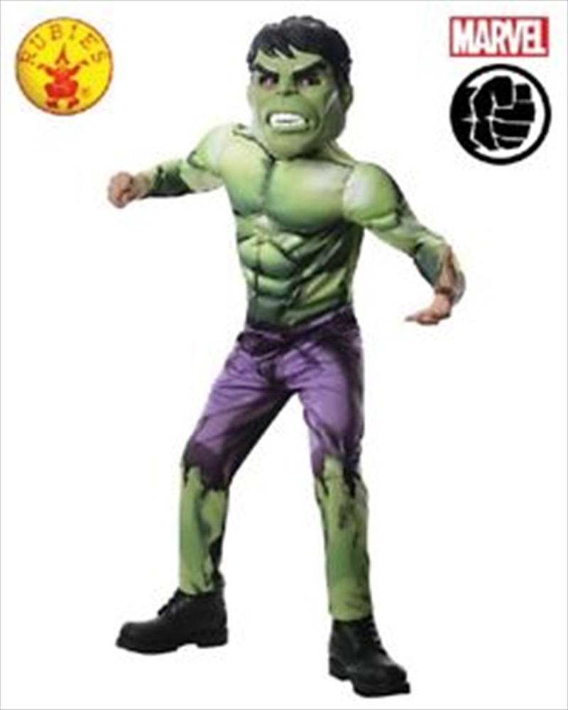 Hulk Deluxe: Size 3-4yr/Product Detail/Costumes