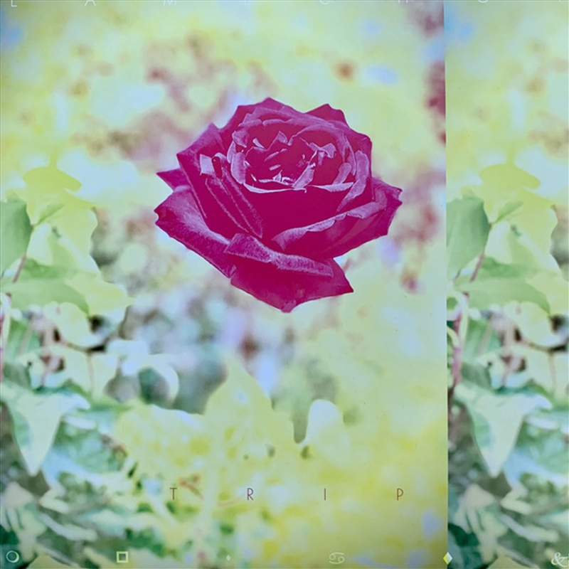 Trip/Product Detail/Pop