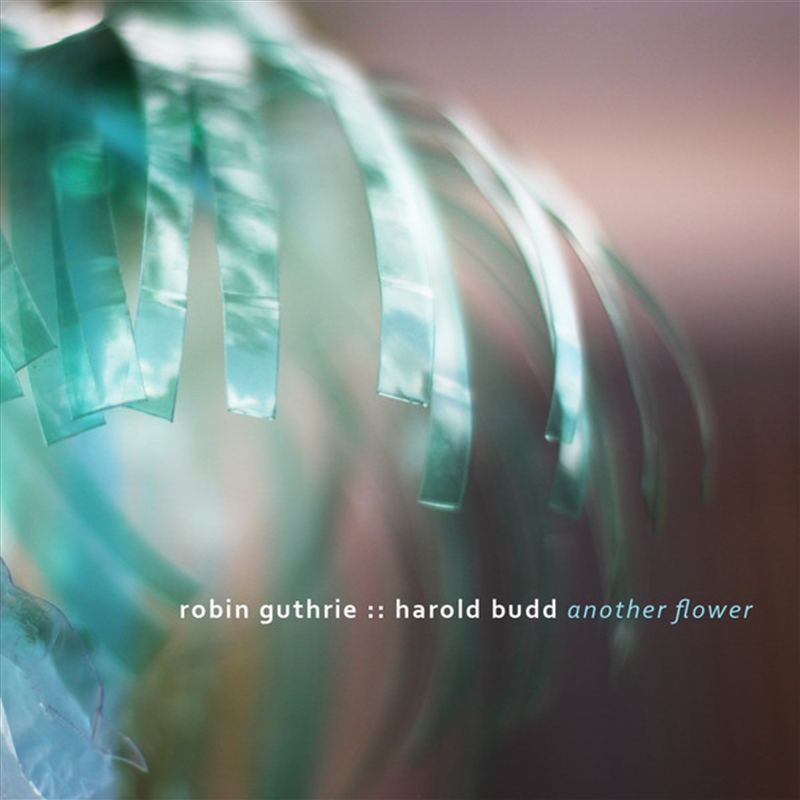 Another Flower/Product Detail/Rock