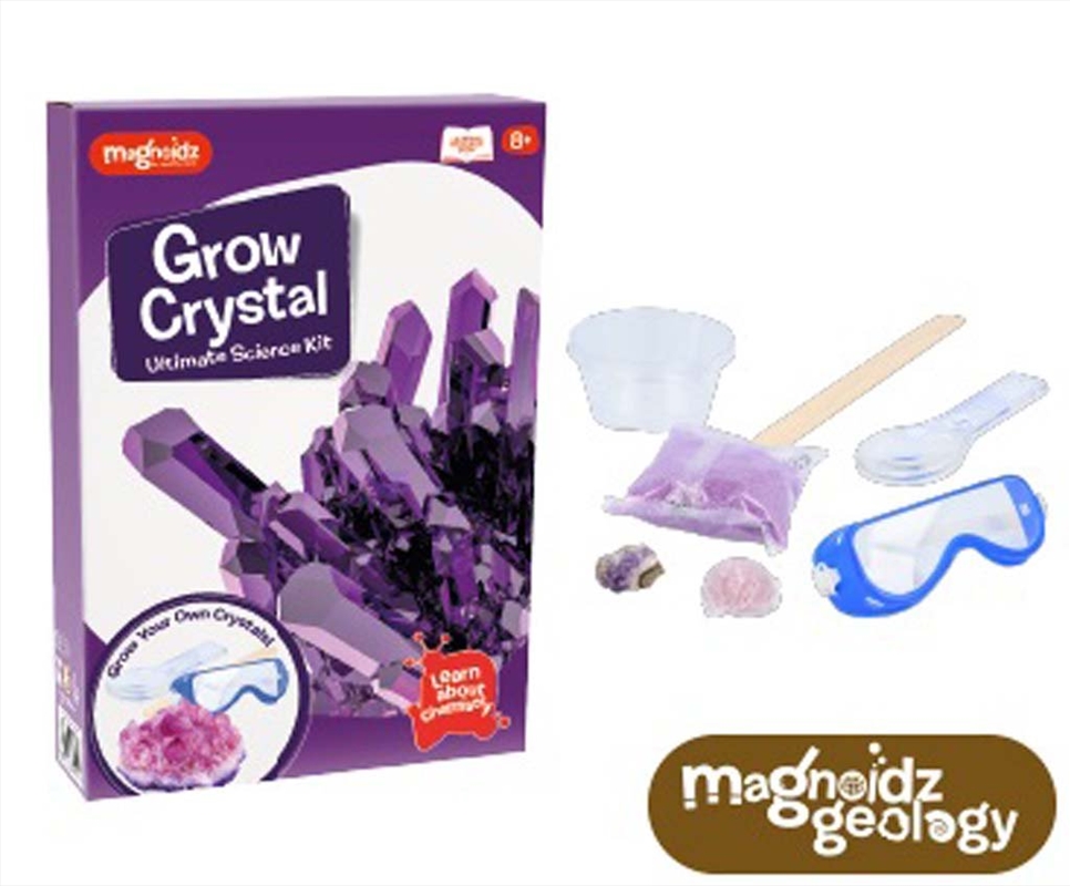 Magnoidz Crystal Growing Kit | Toy