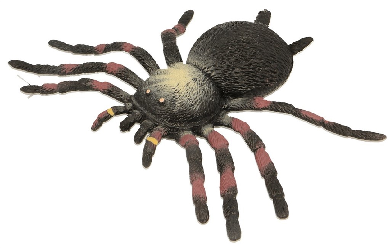 Stretchy Beanie Tarantula/Product Detail/Stress & Squishy