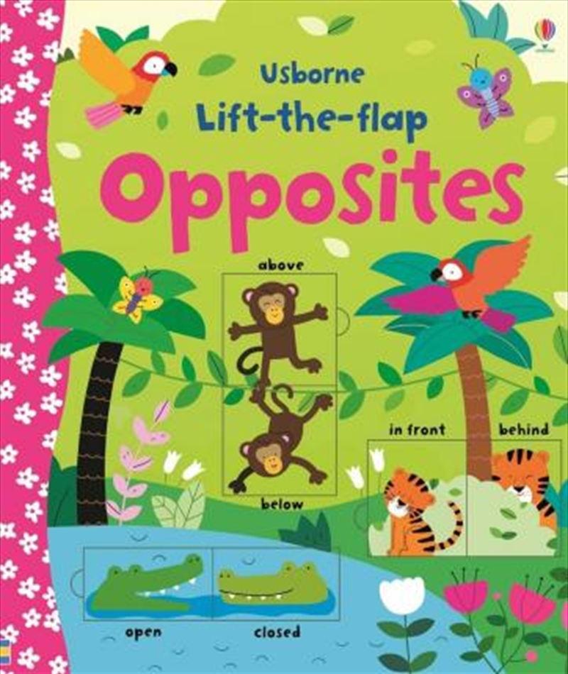 Lift-The-Flap Opposites/Product Detail/Early Childhood Fiction Books