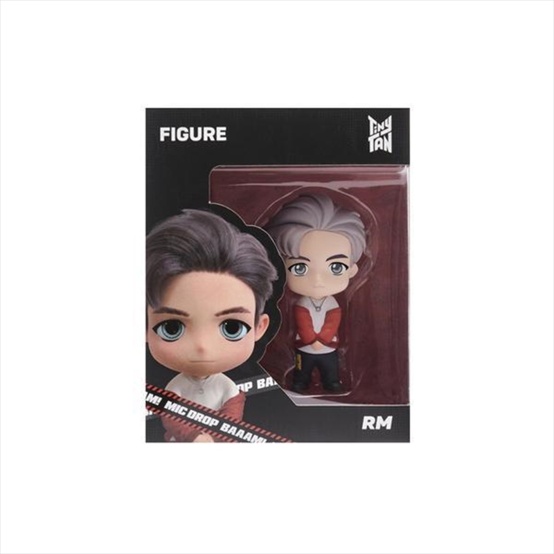 BTS RM Tinytan Figure/Product Detail/Action Figures & Dolls