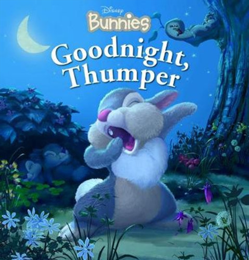 Goodnight, Thumper (Disney Bunnies)/Product Detail/Children