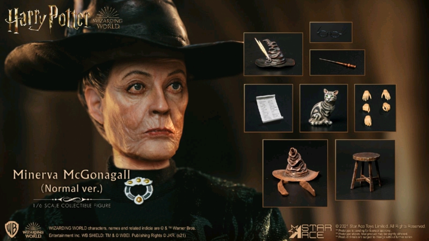 Minerva Mcgonagall 16 12" Figure, Figurines & Statues Sanity