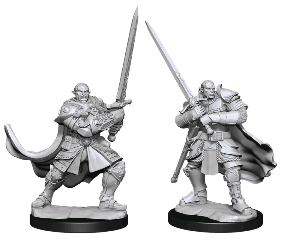 Dungeons & Dragons - Nolzur's Marvelous Unpainted Minis: Half-Orc Paladin Male/Product Detail/RPG Games