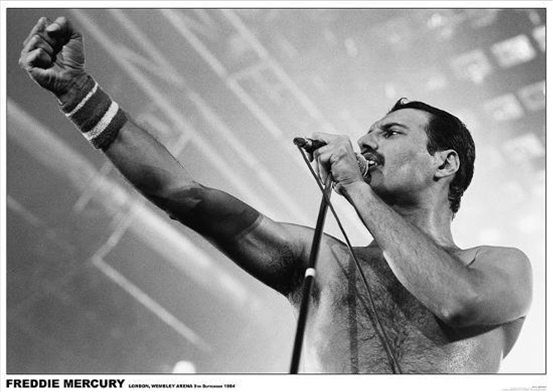 Freddie Mercury/Product Detail/Posters & Prints