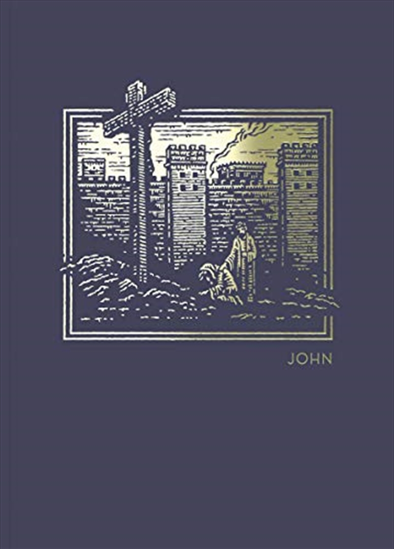 NET Abide Bible Journal - John, Paperback, Comfort Print: Holy Bible/Product Detail/Religion & Beliefs