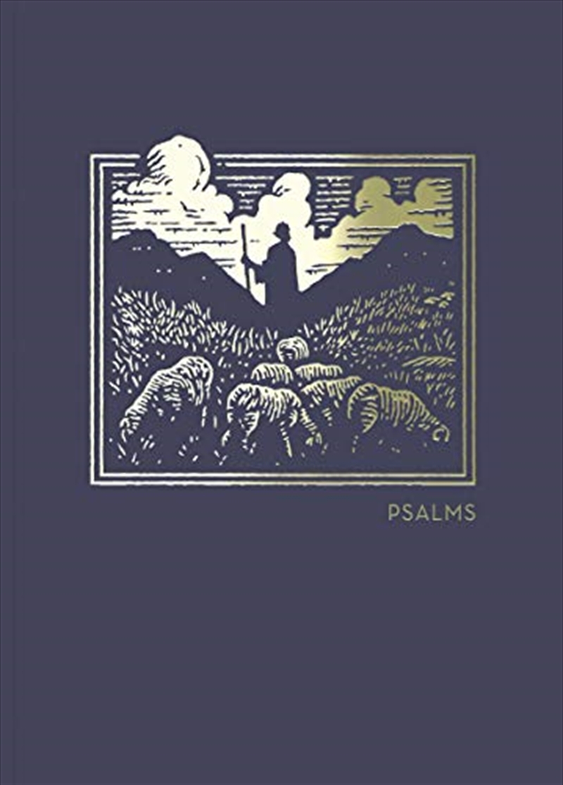 NET Abide Bible Journal - Psalms, Paperback, Comfort Print: Holy Bible/Product Detail/Religion & Beliefs