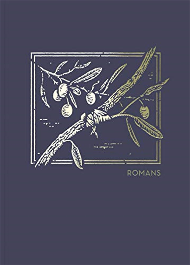 NET Abide Bible Journal - Romans, Paperback, Comfort Print: Holy Bible/Product Detail/Religion & Beliefs