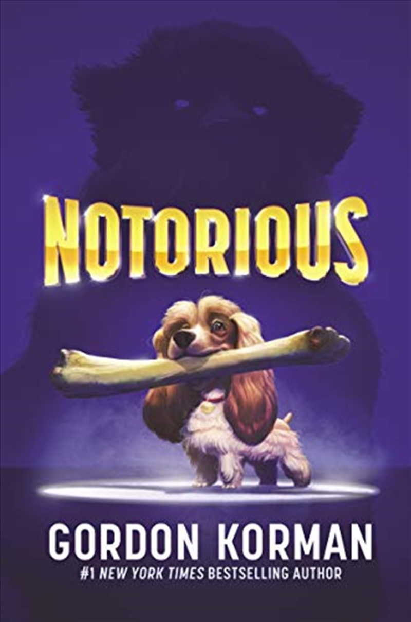 Notorious/Product Detail/Childrens Fiction Books