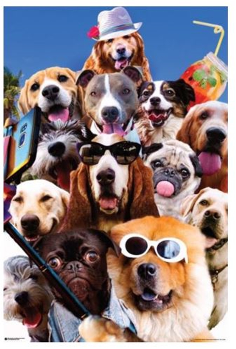 Random Galaxy - Dog Selfie/Product Detail/Posters & Prints