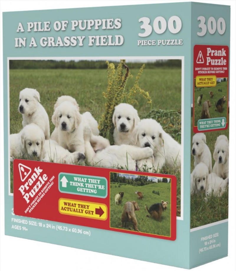 A Pile Of Puppies In A Grassy Field - Prank Puzzle 300 pieces/Product Detail/Nature and Animals