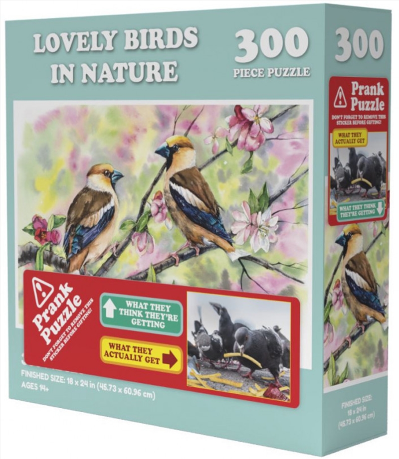 Lovely Birds In Nature Prank Puzzle 300 pieces/Product Detail/Nature and Animals