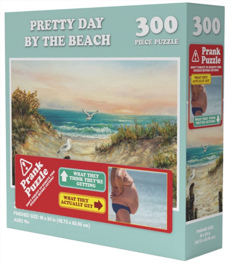 Pretty Day By The Beach Prank Puzzle 300 pieces/Product Detail/Destination