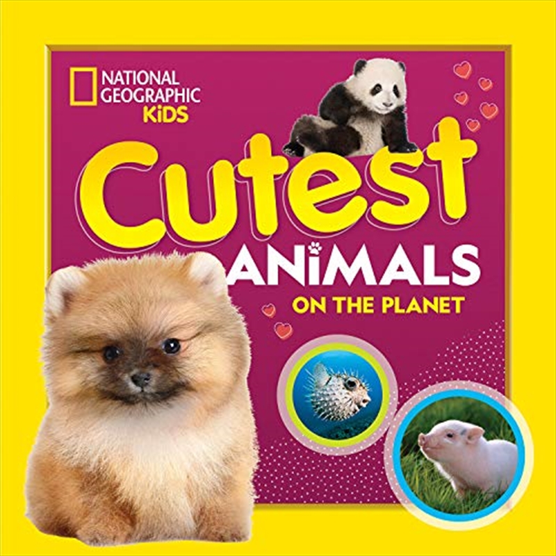 Cutest Animals on the Planet (National Geographic)/Product Detail/Animals & Nature