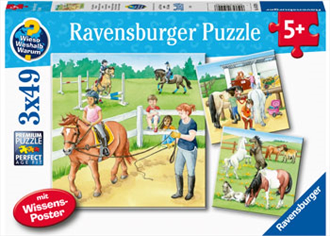 A Day At The Stables 3 X 49 Piece Puzzle/Product Detail/Education and Kids