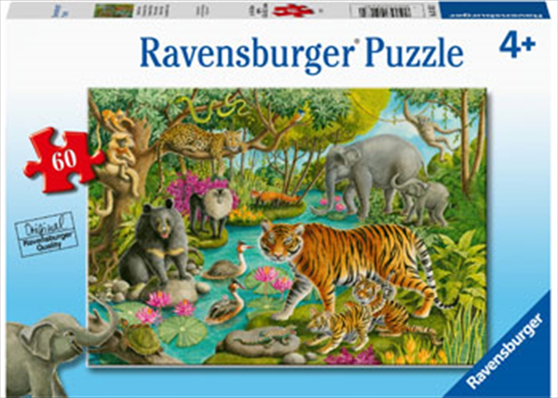 Animals Of India 60 Piece Puzzle | Merchandise